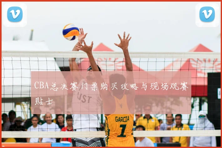 CBA总决赛门票购买攻略与现场观赛贴士